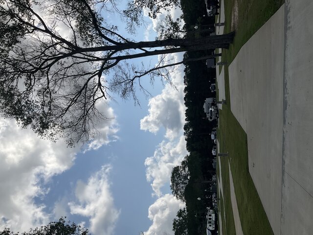 Image 2 for 216 The Woods Back In