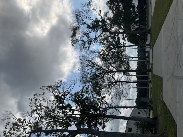 Image 2 for 202 The Woods Back In