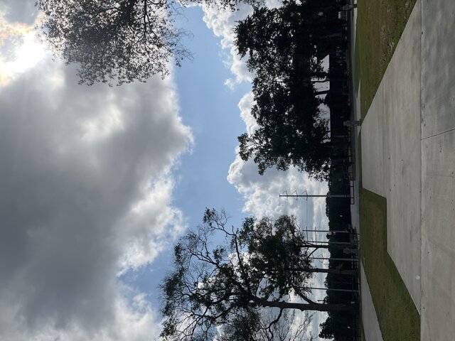 Image 2 for 204 The Woods Back In