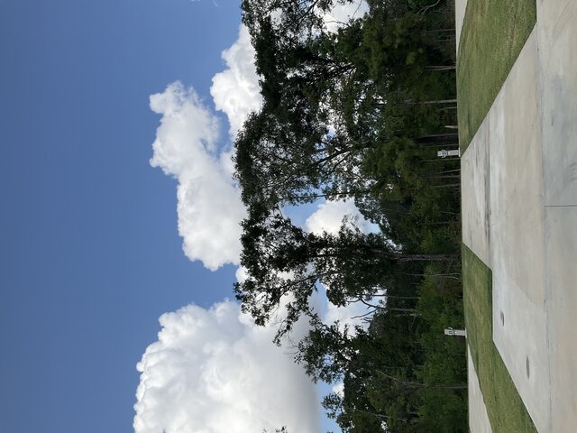 Image 1 for 133 The Woods Back In