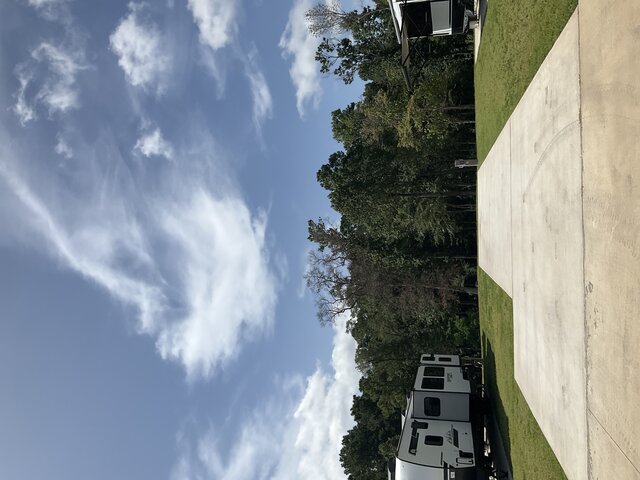 Image 1 for 701 The Treeline Back In