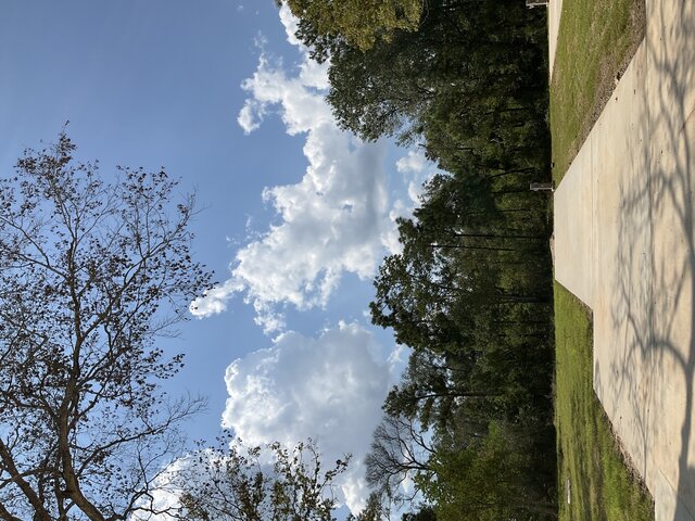 Image 1 for 139 The Treeline Prime back in