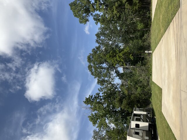 Image 1 for 127 The Treeline Back In