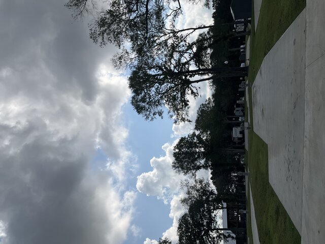 Image 2 for 210 The Woods Back In