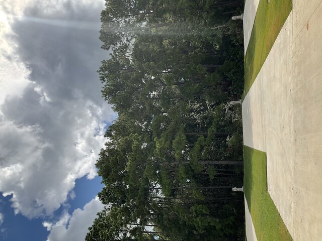 Image 1 for 530 The Treeline Back In