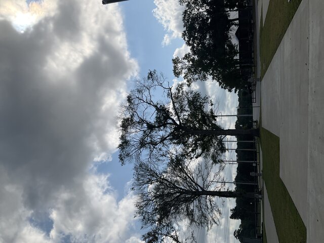 Image 2 for 203 The Woods Back In