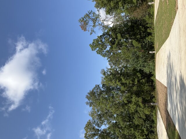 Image 1 for 130 The Treeline Back In