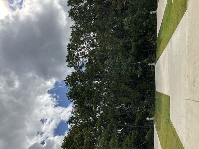 Image 1 for 529 The Treeline Back In