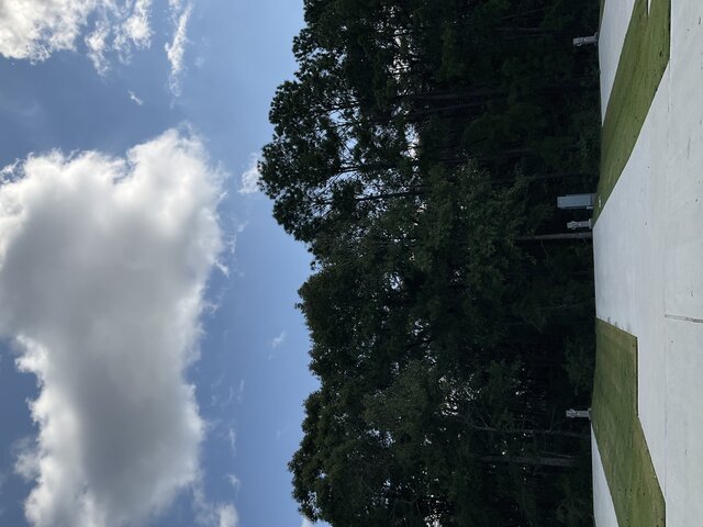 Image 1 for 515 The Treeline Back In