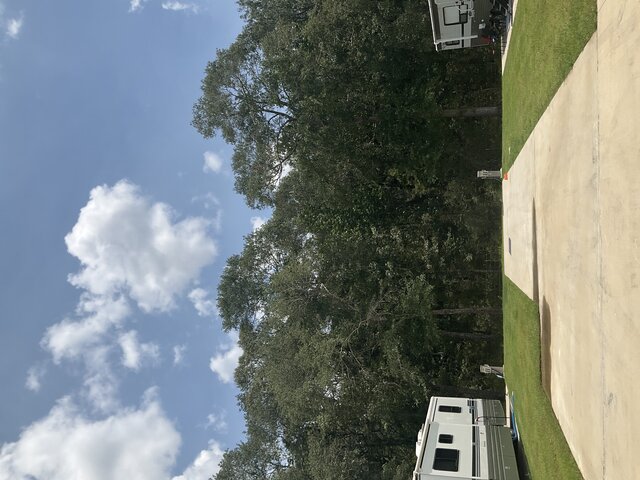 Image 1 for 524 The Treeline Back In