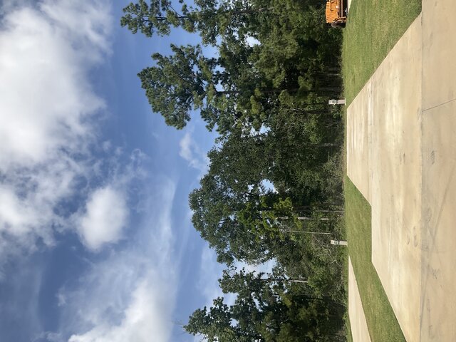 Image 1 for 126 The Treeline Back In