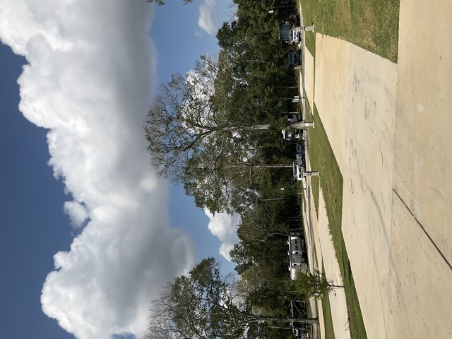 Image 2 for 228 The Woods Back In