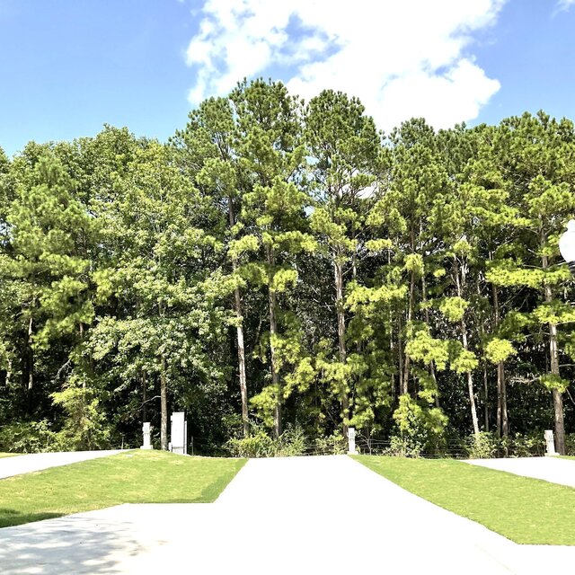 Image 1 for 531 The Treeline Back In