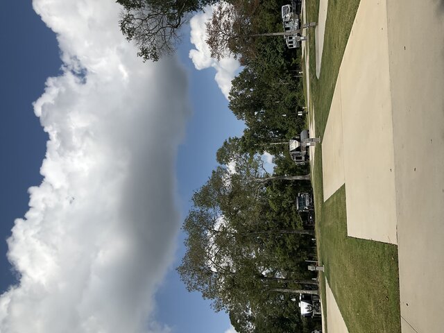 Image 1 for 235 The Woods Back In