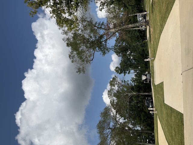 Image 2 for 236 The Woods Back In