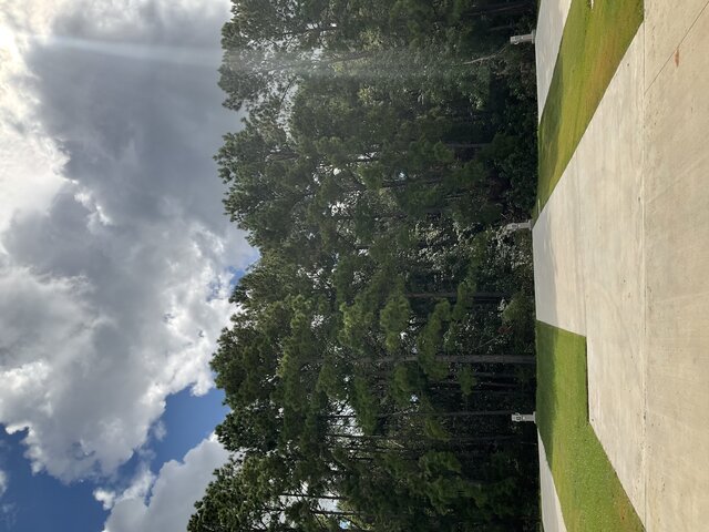 Image 2 for 524 The Treeline Back In