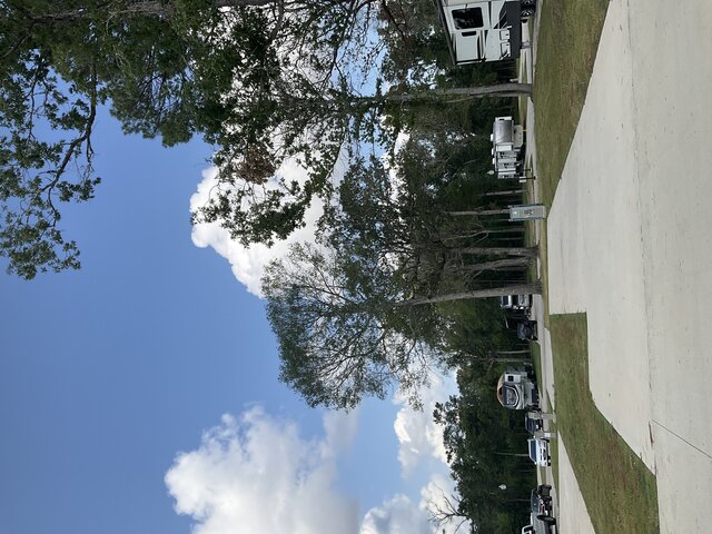 Image 1 for 222 The Woods Back In