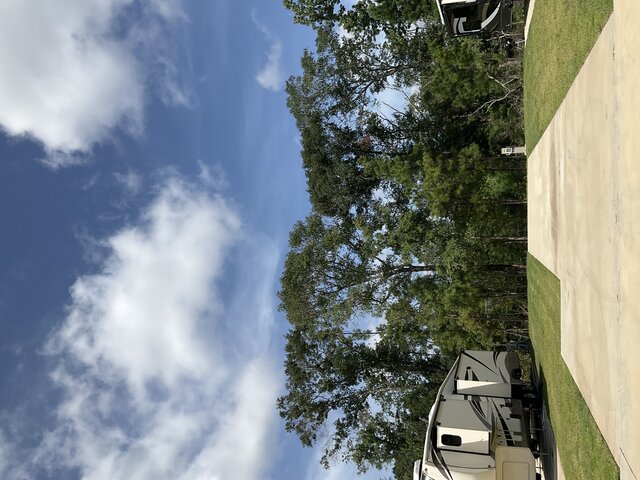 Image 1 for 132 The Treeline Back In