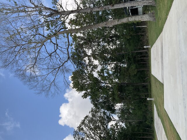 Image 2 for 117 The Woods Back In