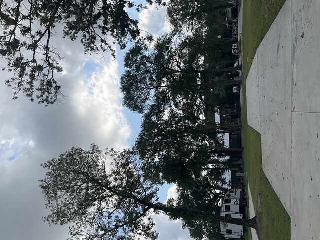 Image 2 for 207 The Woods Back In