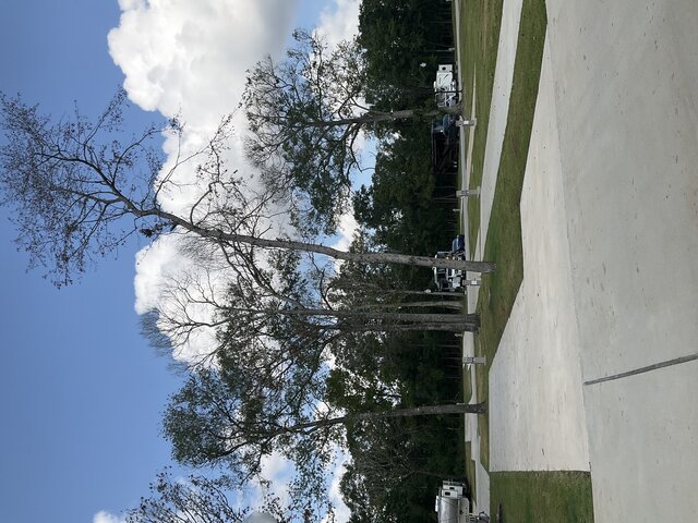 Image 2 for 225 The Woods Back In