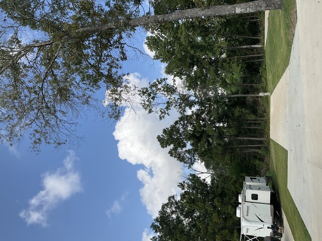 Image 2 for 112 The Woods Back In