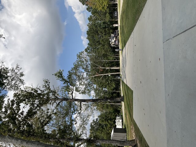 Image 5 for 230 The Woods Back In