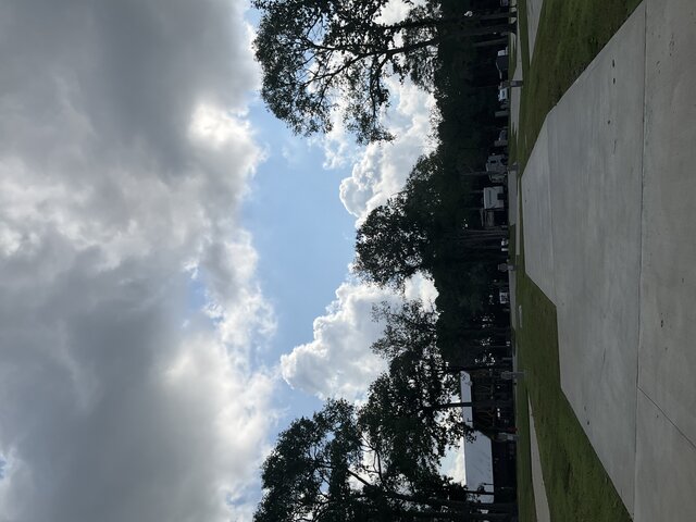 Image 2 for 209 The Woods Back In