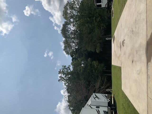 Image 1 for 710 The Treeline Back In