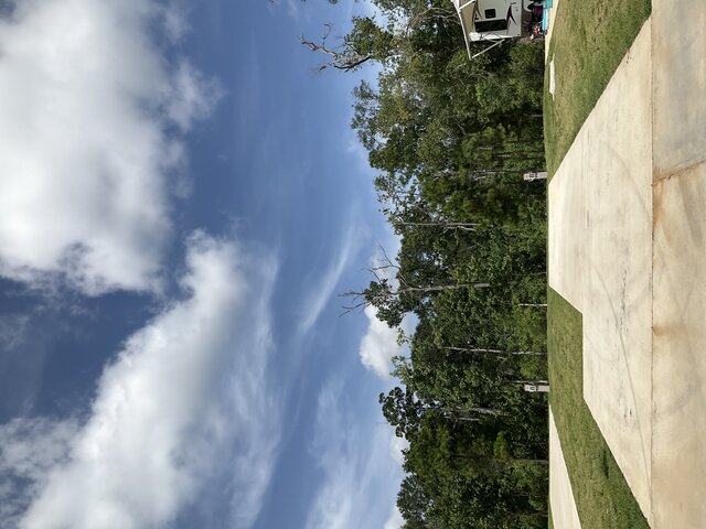 Image 1 for 137 The Treeline Back In