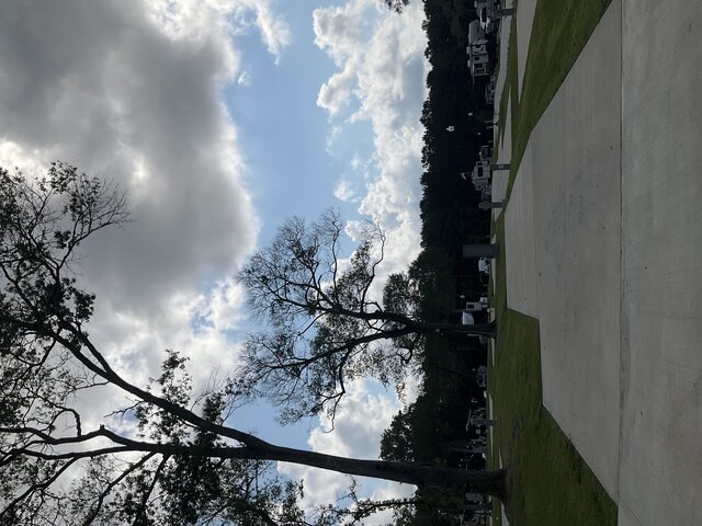 Image 2 for 213 The Woods Back In