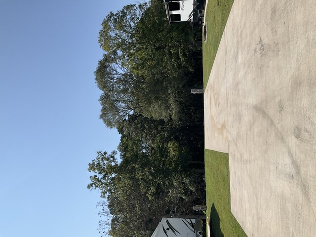 Image 2 for 710 The Treeline Back In