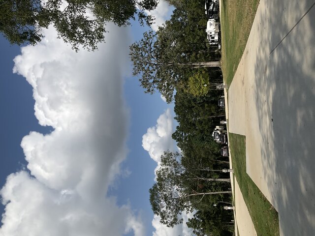 Image 3 for 232 The Woods Back In