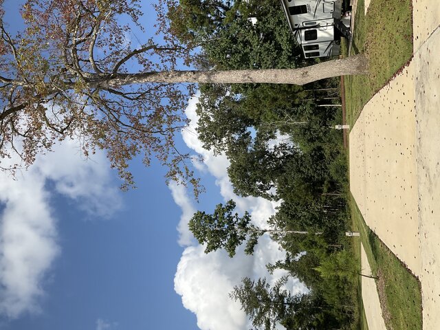 Image 1 for 101 The Woods Back In