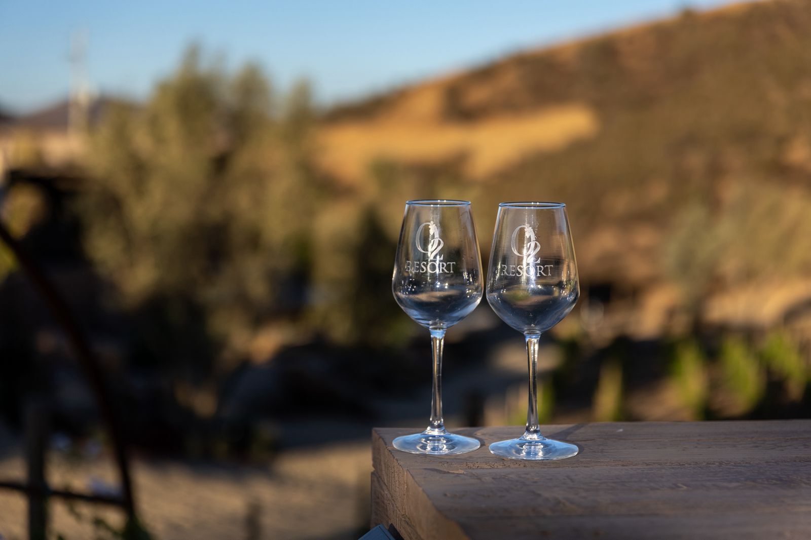 Image for Wine Bottle
