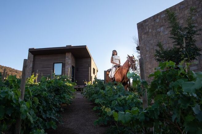 Image for Horseback Riding
