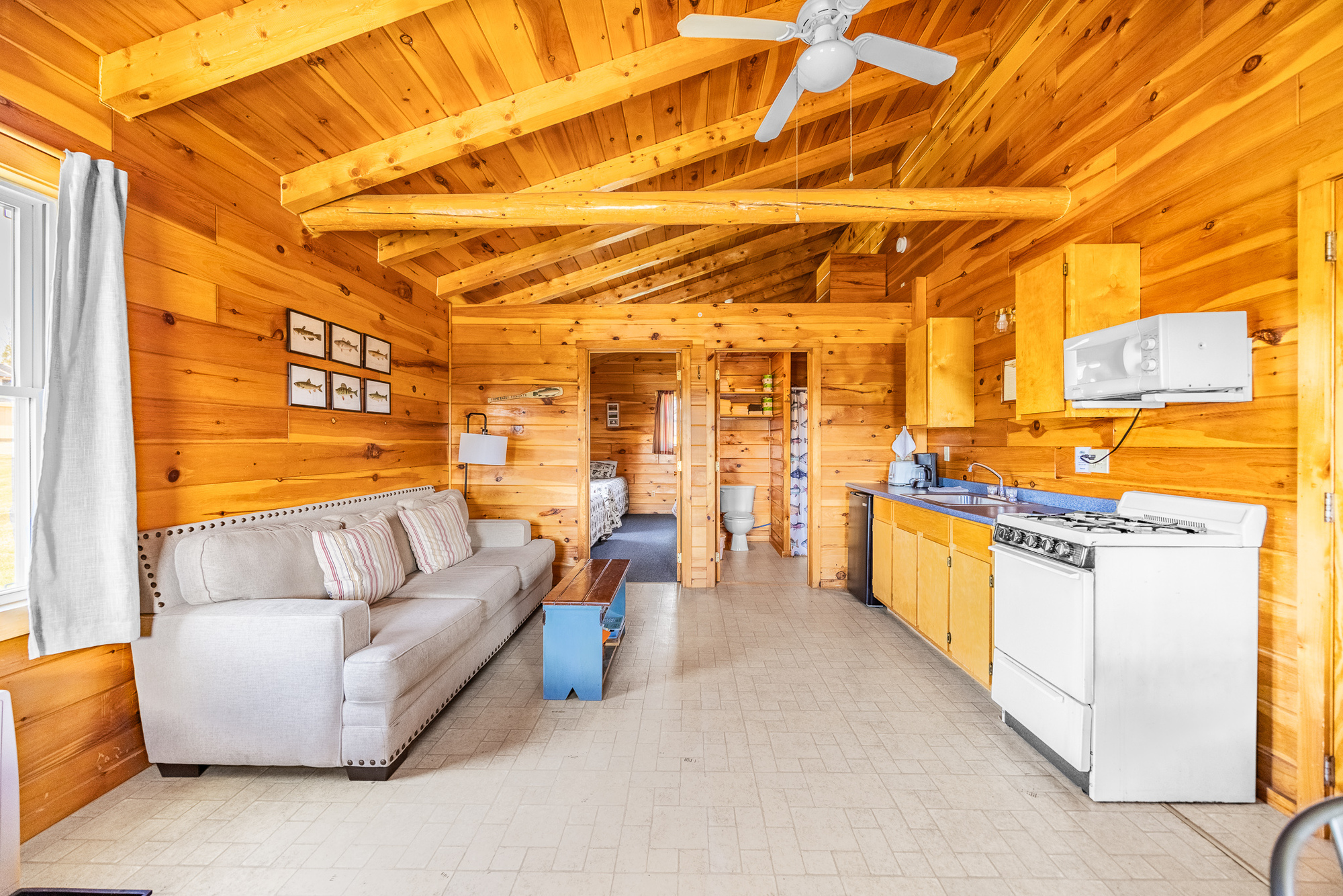 Image for Trout Brook