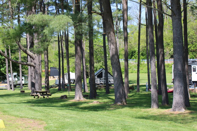 Image 1 for 09 Short Term Sites