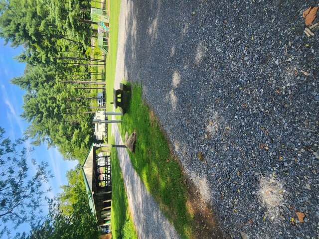 Image 1 for 24-A Short Term Pull Through