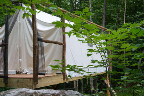 Image 1 for Tree House Style Wall Tent