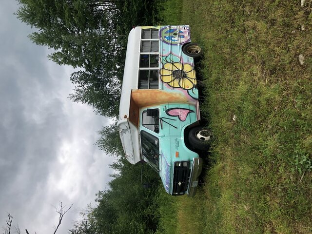 Image 4 for Groove Bird Vintage Bus