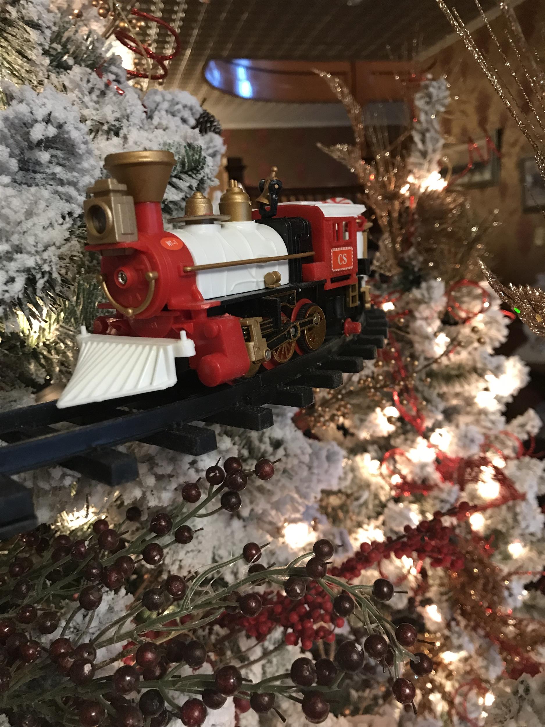 Image for Hotel - Christmas Special