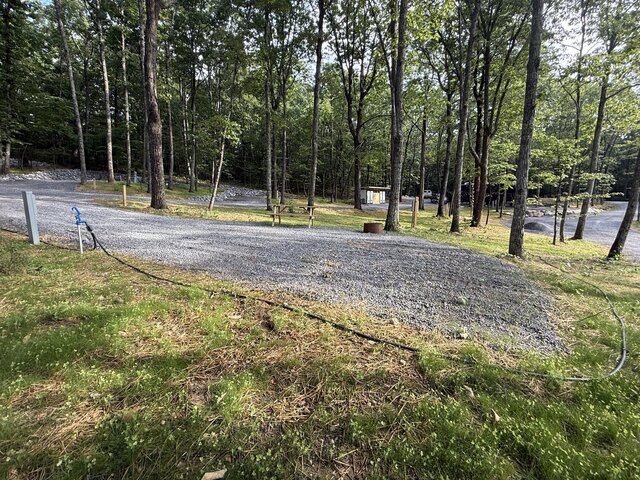Image 4 for RV Site #4