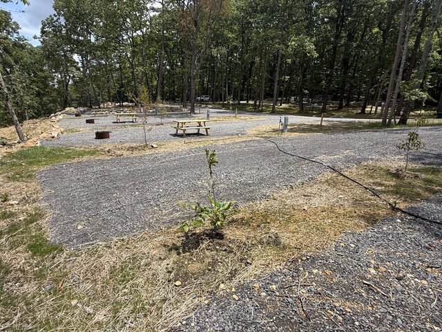 Image 7 for RV Site #18