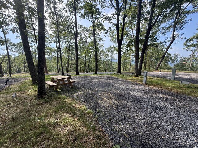 Image 8 for RV Site #6