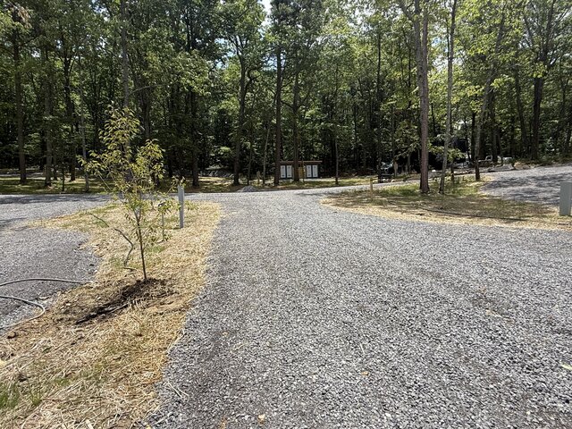 Image 10 for RV Site #17