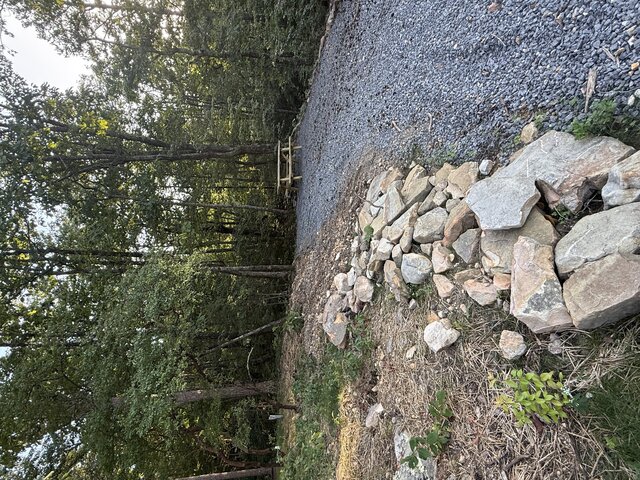 Image 3 for RV Site #21