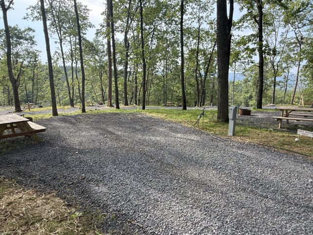 Image 10 for RV Site #4