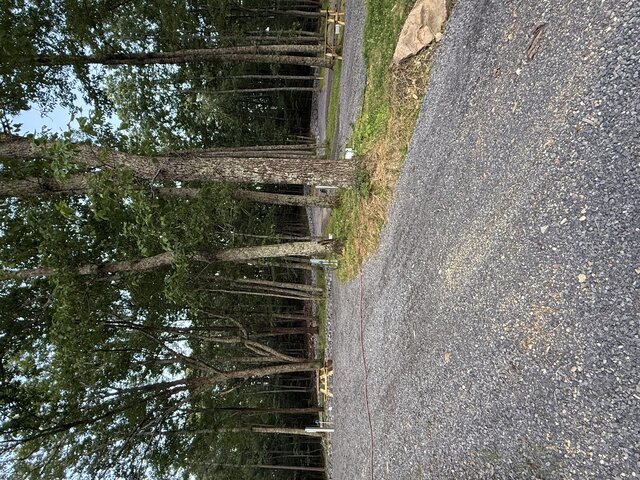 Image 2 for RV Site #12