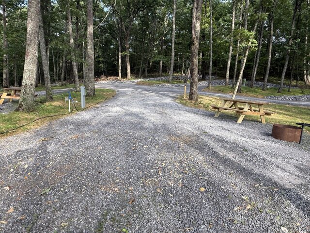 Image 6 for RV Site #4